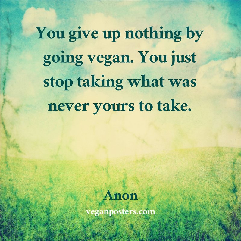 You give up nothing by going vegan. You just stop taking what was never yours to take.