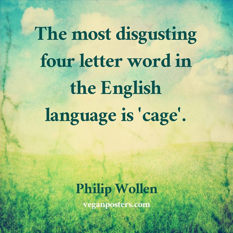 The most disgusting four letter word Vegan Posters