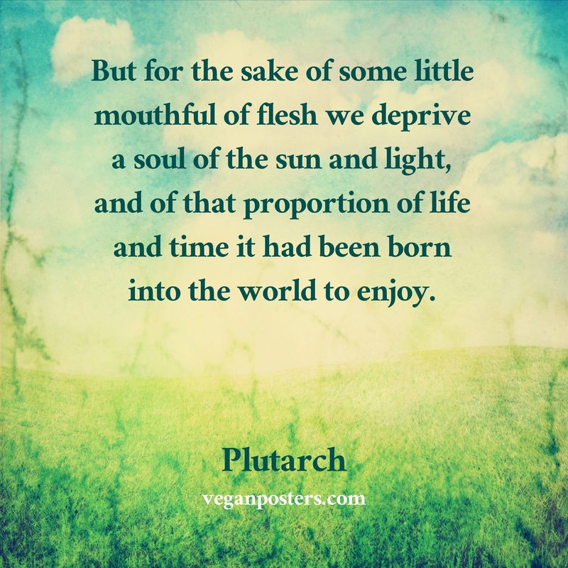 But for the sake of some little mouthful of flesh we deprive a soul of the sun and light, and of that proportion of life and time it had been born into the world to enjoy.