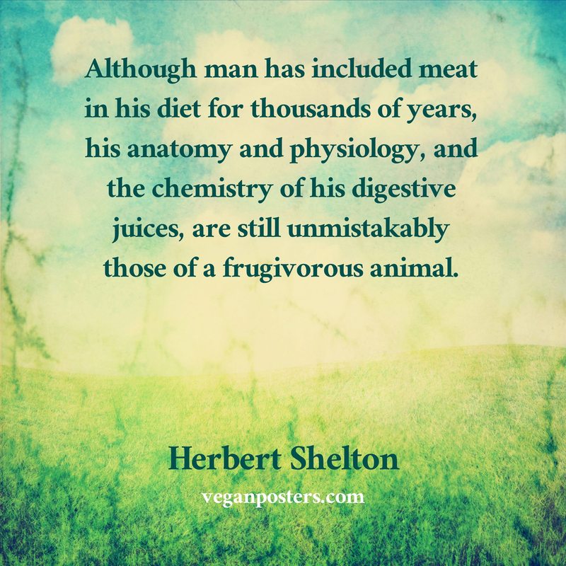 Although man has included meat in his diet for thousands of years, his anatomy and physiology, and the chemistry of his digestive juices, are still unmistakably those of a frugivorous animal.