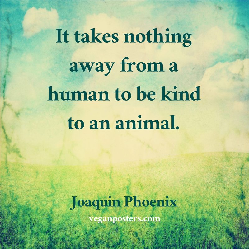 It takes nothing away from a human to be kind to an animal.