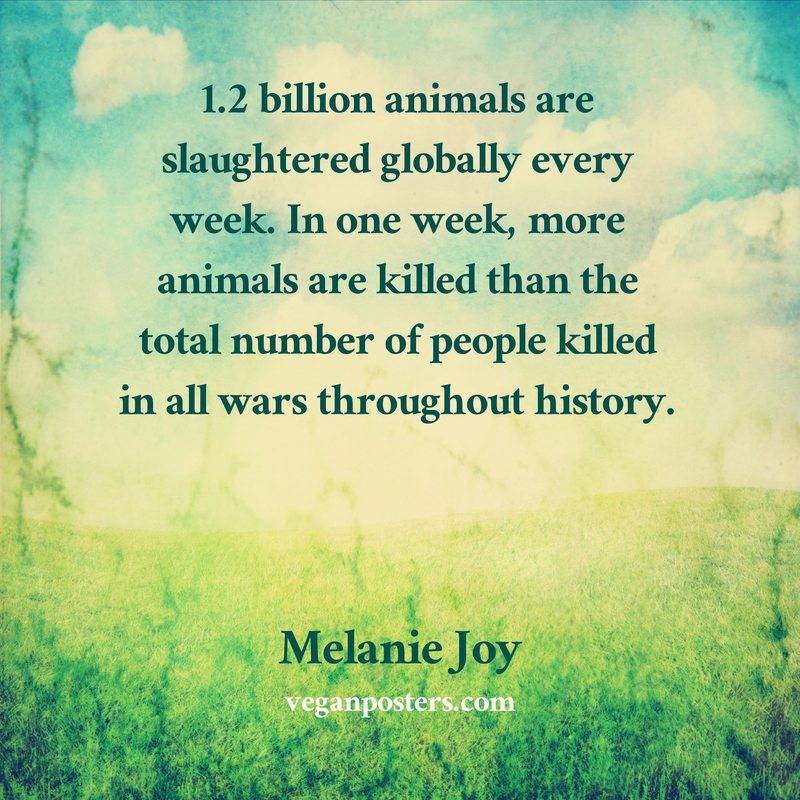 1.2 billion animals are slaughtered globally every week. In one week, more animals are killed than the total number of people killed in all wars throughout history.