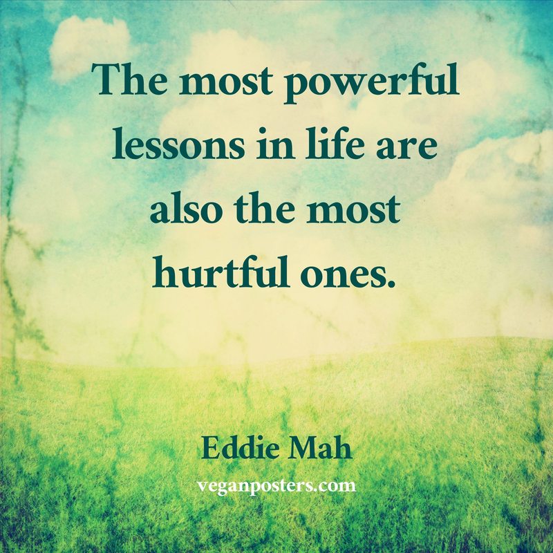 The most powerful lessons in life are also the most hurtful ones.