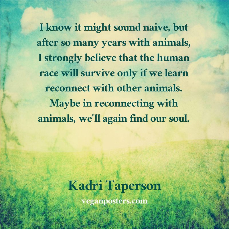 I know it might sound naive, but after so many years with animals, I strongly believe that the human race will survive only if we learn reconnect with other animals. Maybe in reconnecting with animals, we'll again find our soul.