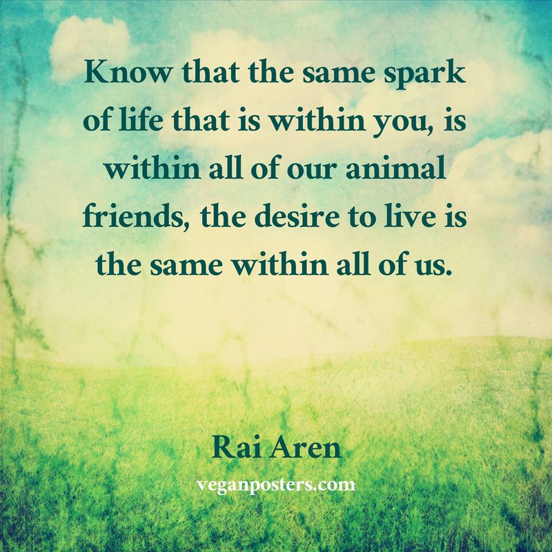 Know that the same spark of life that is within you, is within all of our animal friends, the desire to live is the same within all of us.
