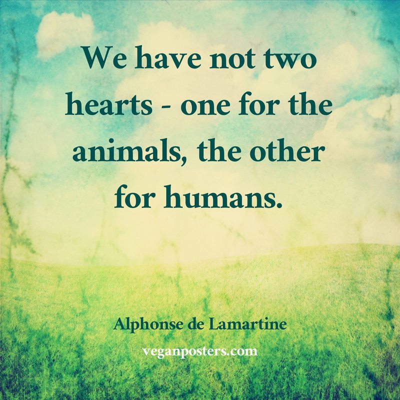 We have not two hearts - one for the animals, the other for humans.