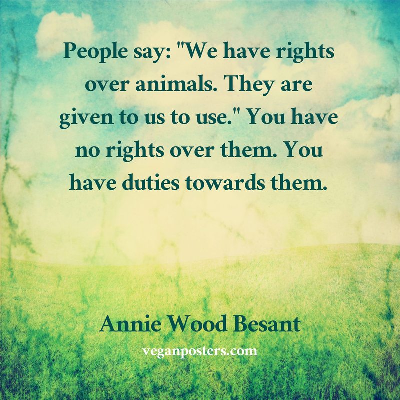 People say: "We have rights over animals. They are given to us to use." You have no rights over them. You have duties towards them.