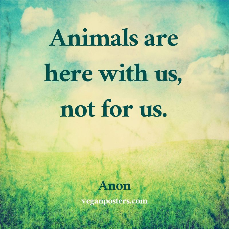Animals are here with us, not for us.