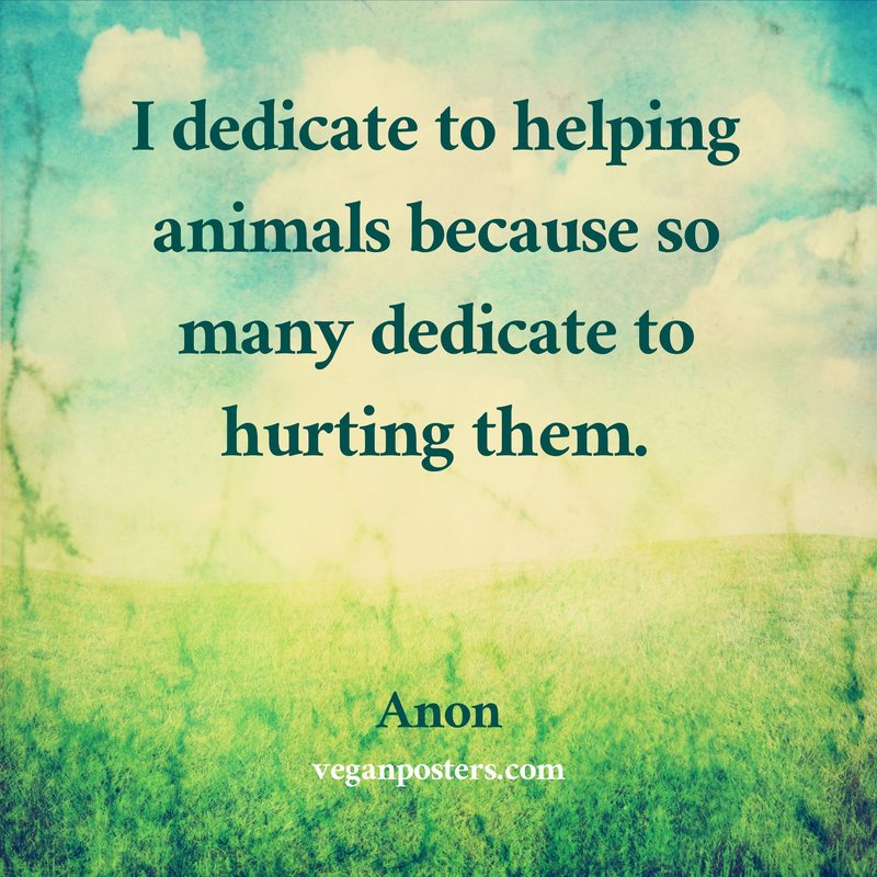 I dedicate to helping animals because so many dedicate to hurting them.