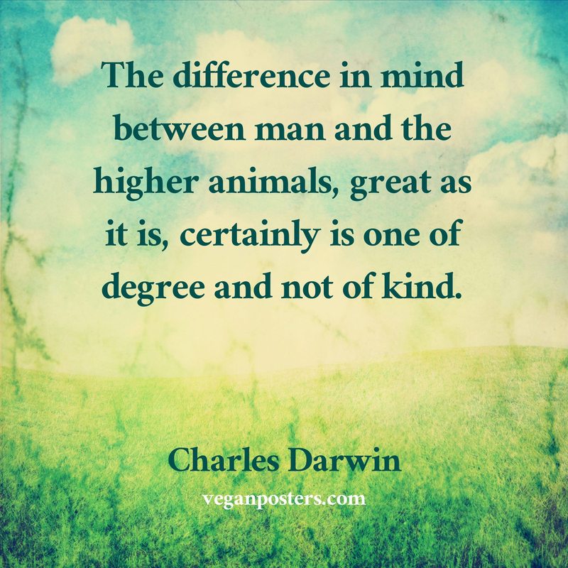 The difference in mind between man and the higher animals, great as it is, certainly is one of degree and not of kind.