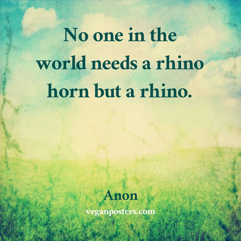 No one in the world needs a rhino horn but a rhino.