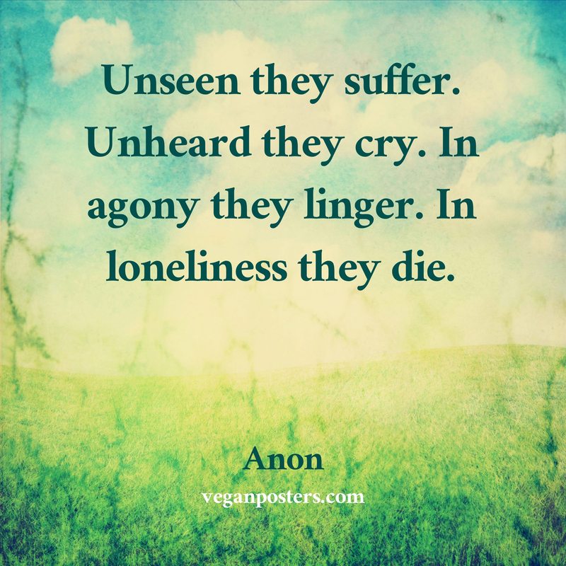 Unseen they suffer. Unheard they cry. In agony they linger. In loneliness they die.