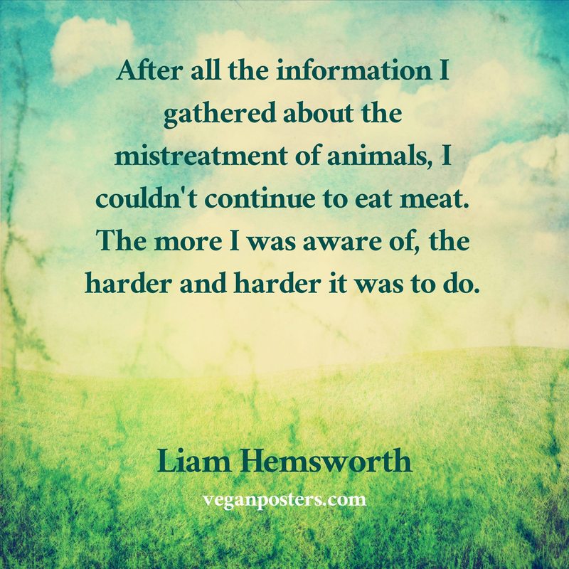 After all the information I gathered about the mistreatment of animals, I couldn't continue to eat meat. The more I was aware of, the harder and harder it was to do.