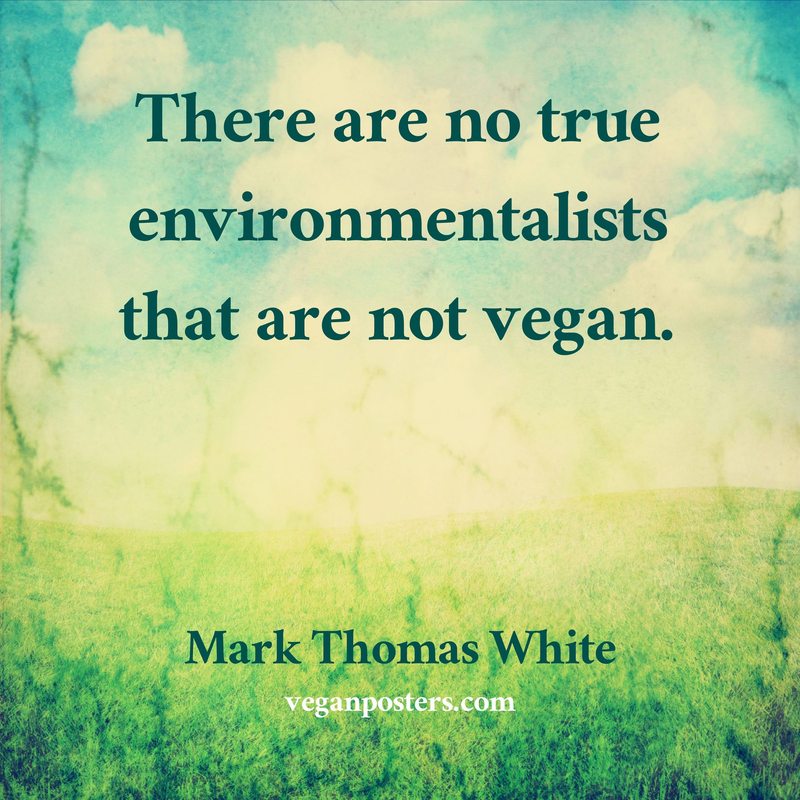 There are no true environmentalists that are not vegan.