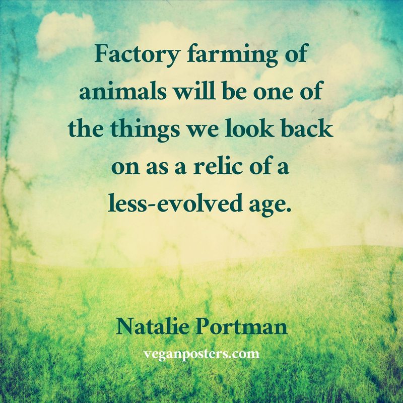 Factory farming of animals will be one of the things we look back on as a relic of a less-evolved age.