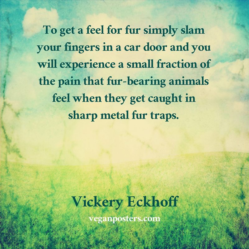 To get a feel for fur simply slam your fingers in a car door and you will experience a small fraction of the pain that fur-bearing animals feel when they get caught in sharp metal fur traps.