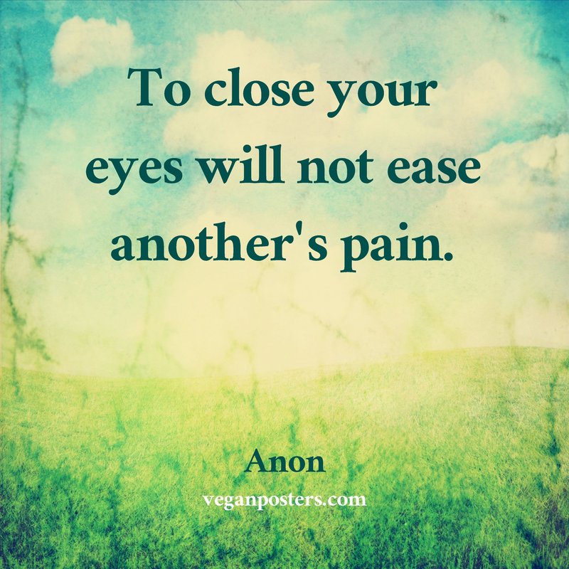 To close your eyes will not ease another's pain.