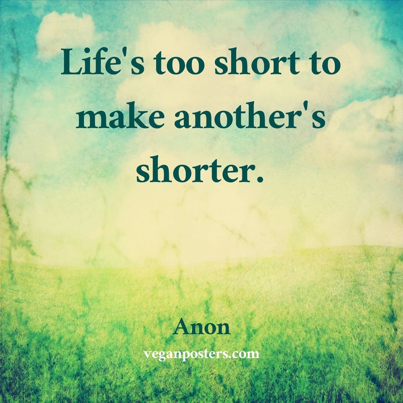 Life's too short to make another's shorter.