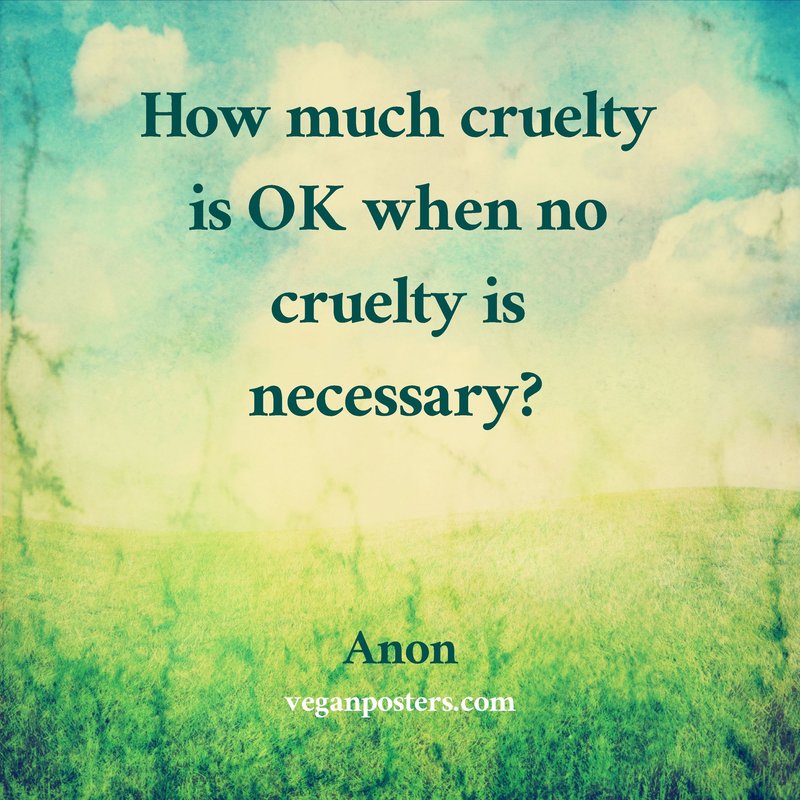 How much cruelty is OK when no cruelty is necessary?