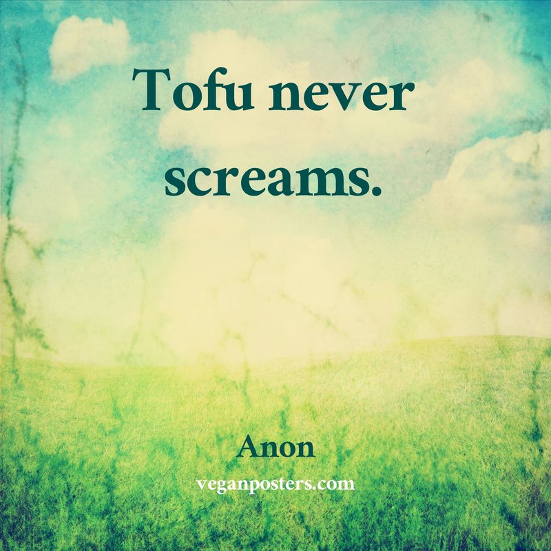 Tofu never screams.