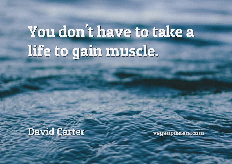 You don't have to take a life to gain muscle.