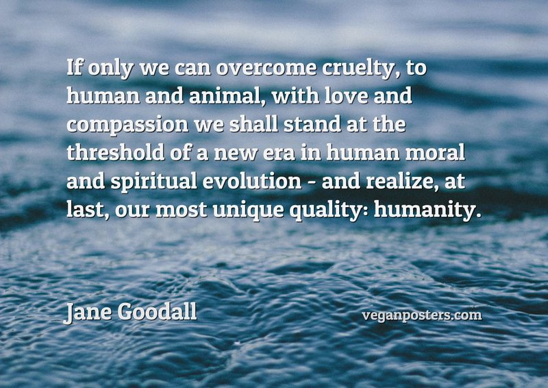 If only we can overcome cruelty, to human and animal, with love and compassion we shall stand at the threshold of a new era in human moral and spiritual evolution - and realize, at last, our most unique quality: humanity.