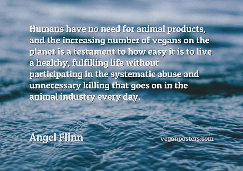 Humans have no need for animal products, and the increasing number of vegans on the planet is a testament to how easy it is to live a healthy, fulfilling life without participating in the systematic abuse and unnecessary killing that goes on in the animal industry every day.
