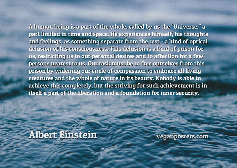 A human being is a part of the whole, called by us the "Universe," a part limited in time and space. He experiences himself, his thoughts and feelings, as something separate from the rest - a kind of optical delusion of his consciousness. This delusion is a kind of prison for us, restricting us to our personal desires and to affection for a few persons nearest to us. Our task must be to free ourselves from this prison by widening our circle of compassion to embrace all living creatures and the whole of nature in its beauty. Nobody is able to achieve this completely, but the striving for such achievement is in itself a part of the liberation and a foundation for inner security.
