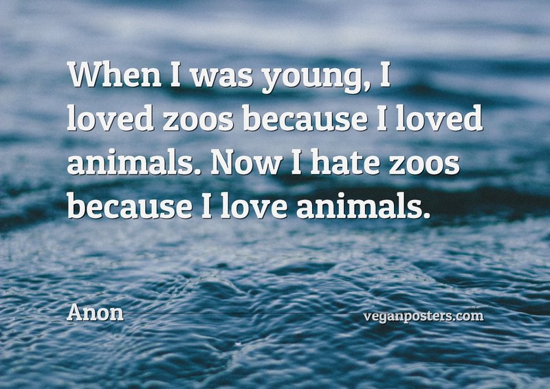 When I was young, I loved zoos because I loved animals. Now I hate zoos because I love animals.