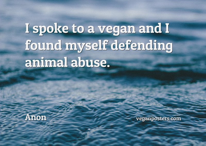 I spoke to a vegan and I found myself defending animal abuse.