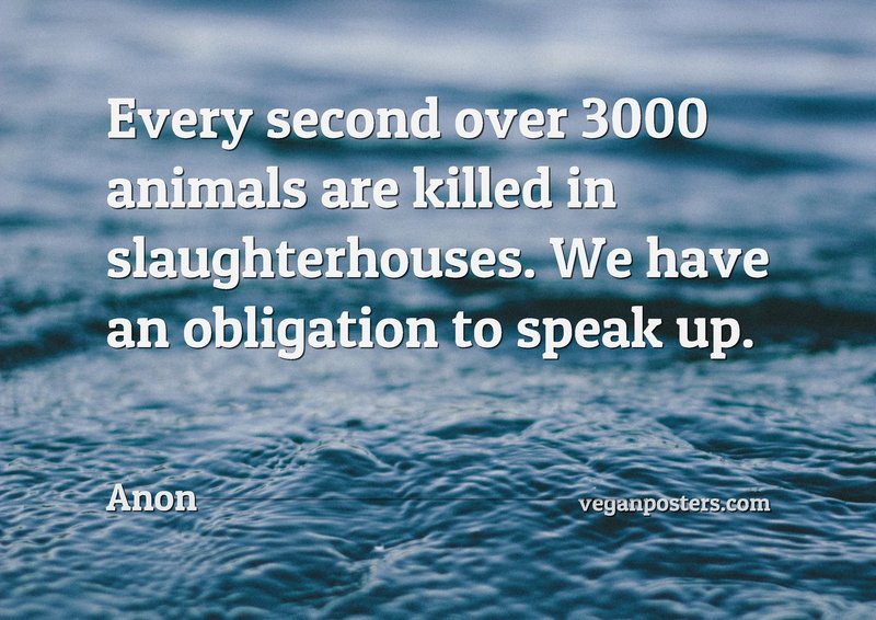 Every second over 3000 animals are killed in slaughterhouses. We have an obligation to speak up.