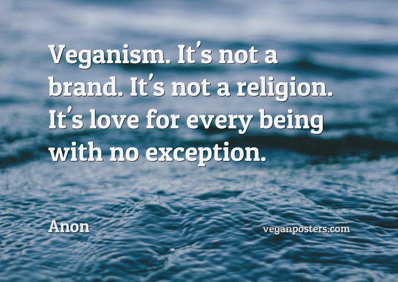 Veganism. It's not a brand. It's not a religion. It's love for every being with no exception.