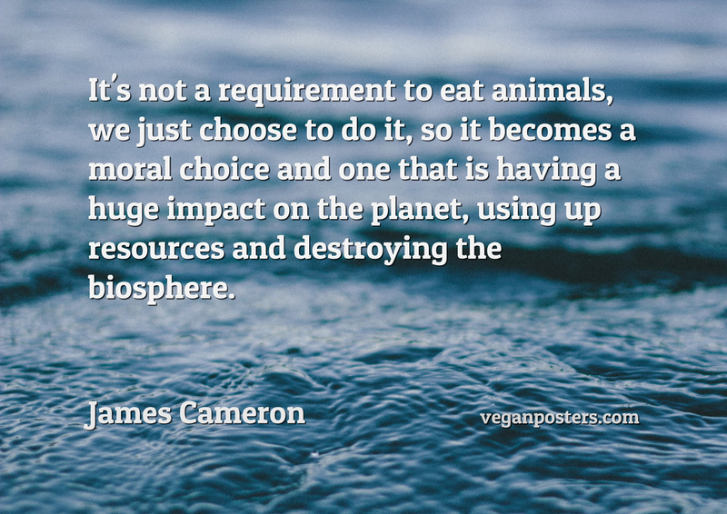 It’s not a requirement to eat animals, we just choose to do it, so it becomes a moral choice and one that is having a huge impact on the planet, using up resources and destroying the biosphere.