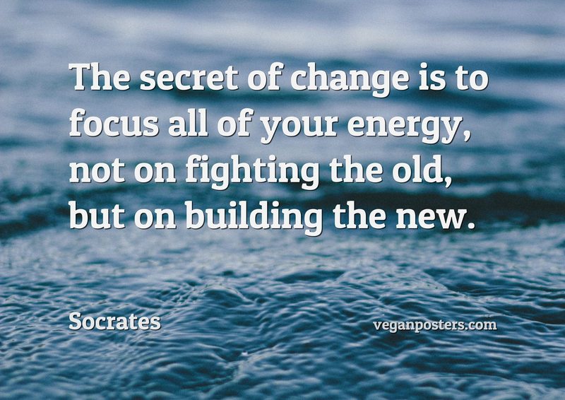 The secret of change is to focus all of your energy, not on fighting the old, but on building the new.