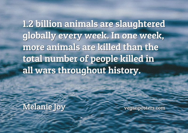 1.2 billion animals are slaughtered globally every week. In one week, more animals are killed than the total number of people killed in all wars throughout history.
