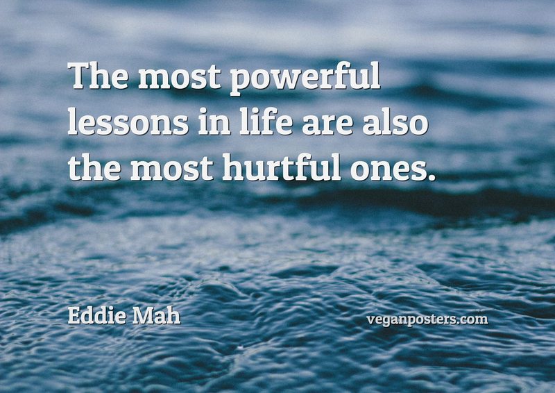 The most powerful lessons in life are also the most hurtful ones.