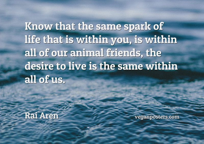Know that the same spark of life that is within you, is within all of our animal friends, the desire to live is the same within all of us.