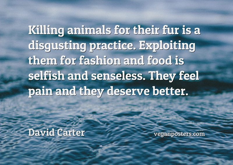 Killing animals for their fur is a disgusting practice. Exploiting them for fashion and food is selfish and senseless. They feel pain and they deserve better.