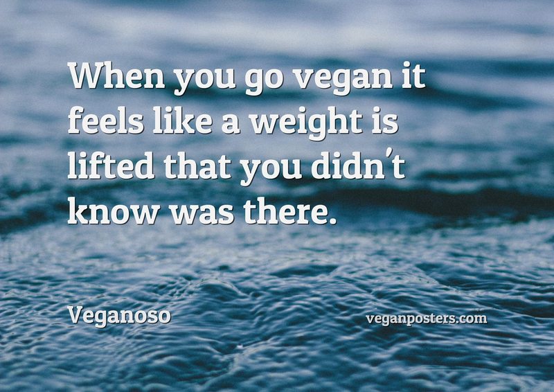 When you go vegan it feels like a weight is lifted that you didn't know was there.
