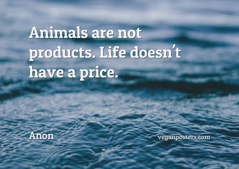 Animals are not products. Life doesn't have a price.
