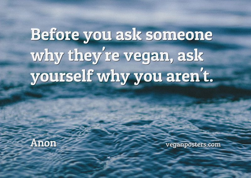 Before you ask someone why they're vegan, ask yourself why you aren't.