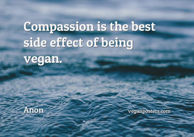 Compassion is the best side effect of being vegan.