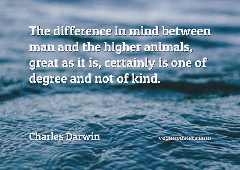 The difference in mind between man and the higher animals, great as it is, certainly is one of degree and not of kind.