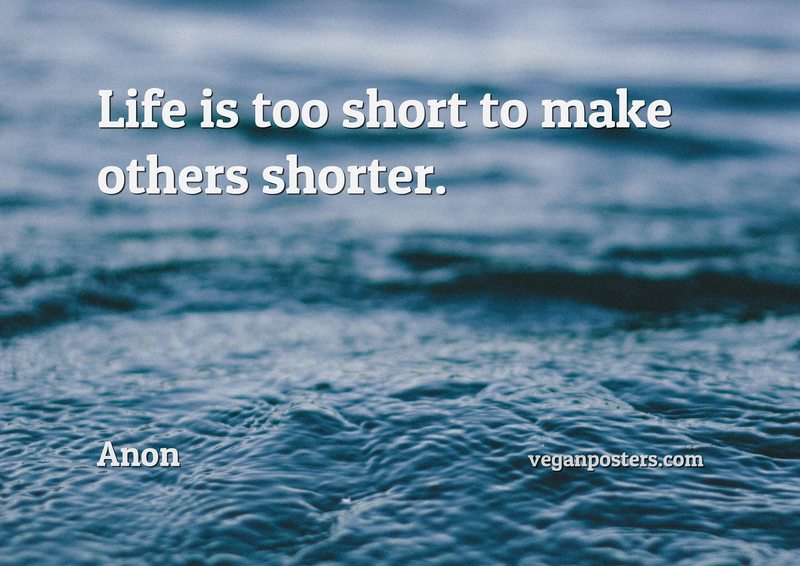 Life is too short to make others shorter.
