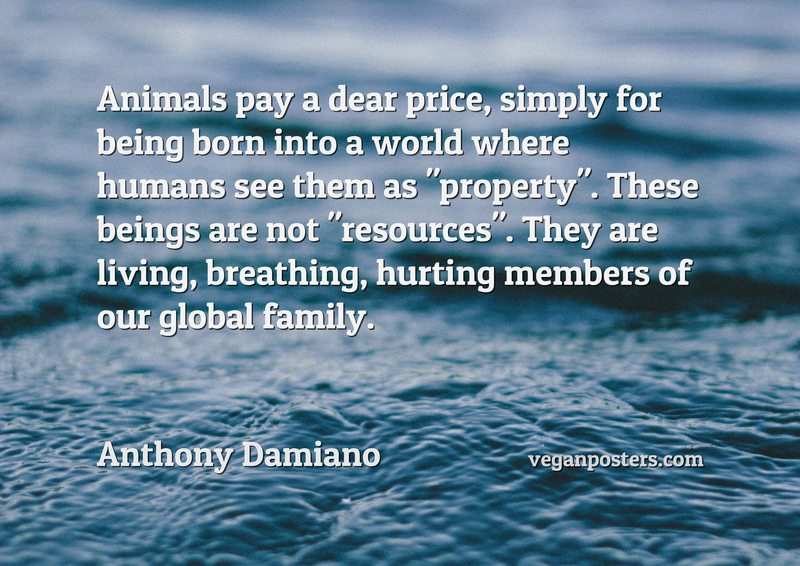 Animals pay a dear price, simply for being born into a world where humans see them as "property". These beings are not "resources". They are living, breathing, hurting members of our global family.