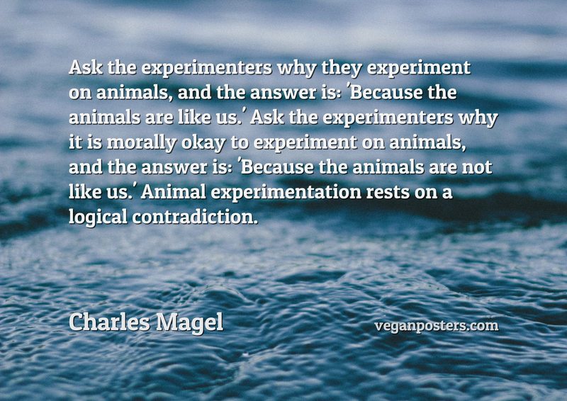 Ask the experimenters why they experiment on animals, and the answer is: 'Because the animals are like us.' Ask the experimenters why it is morally okay to experiment on animals, and the answer is: 'Because the animals are not like us.' Animal experimentation rests on a logical contradiction.