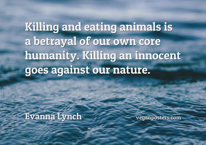 Killing and eating animals is a betrayal of our own core humanity. Killing an innocent goes against our nature.