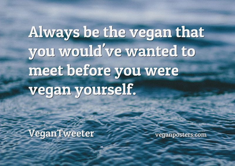 Always be the vegan that you would've wanted to meet before you were vegan yourself.