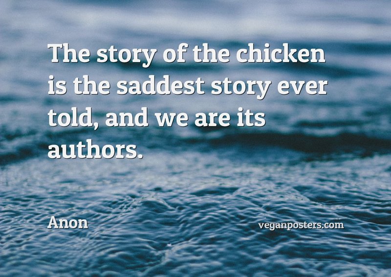 The story of the chicken is the saddest story ever told, and we are its authors.