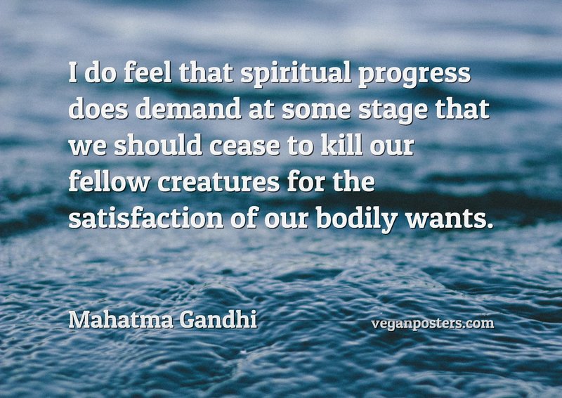 I do feel that spiritual progress does demand at some stage that we should cease to kill our fellow creatures for the satisfaction of our bodily wants.